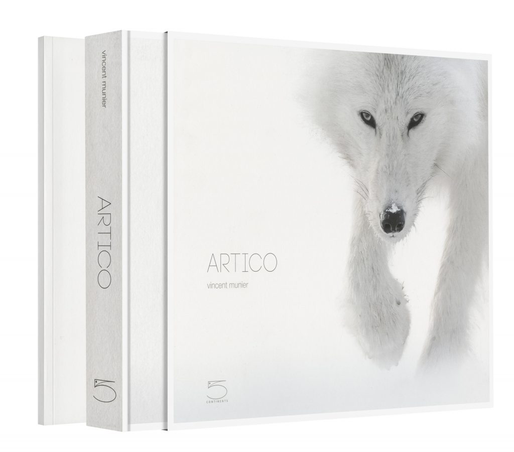 5 Continents Editions_9788874397976_Artico_cover_low
