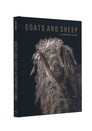 Goats and Sheep. A Portrait Farm