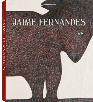 Jaime Fernandes
