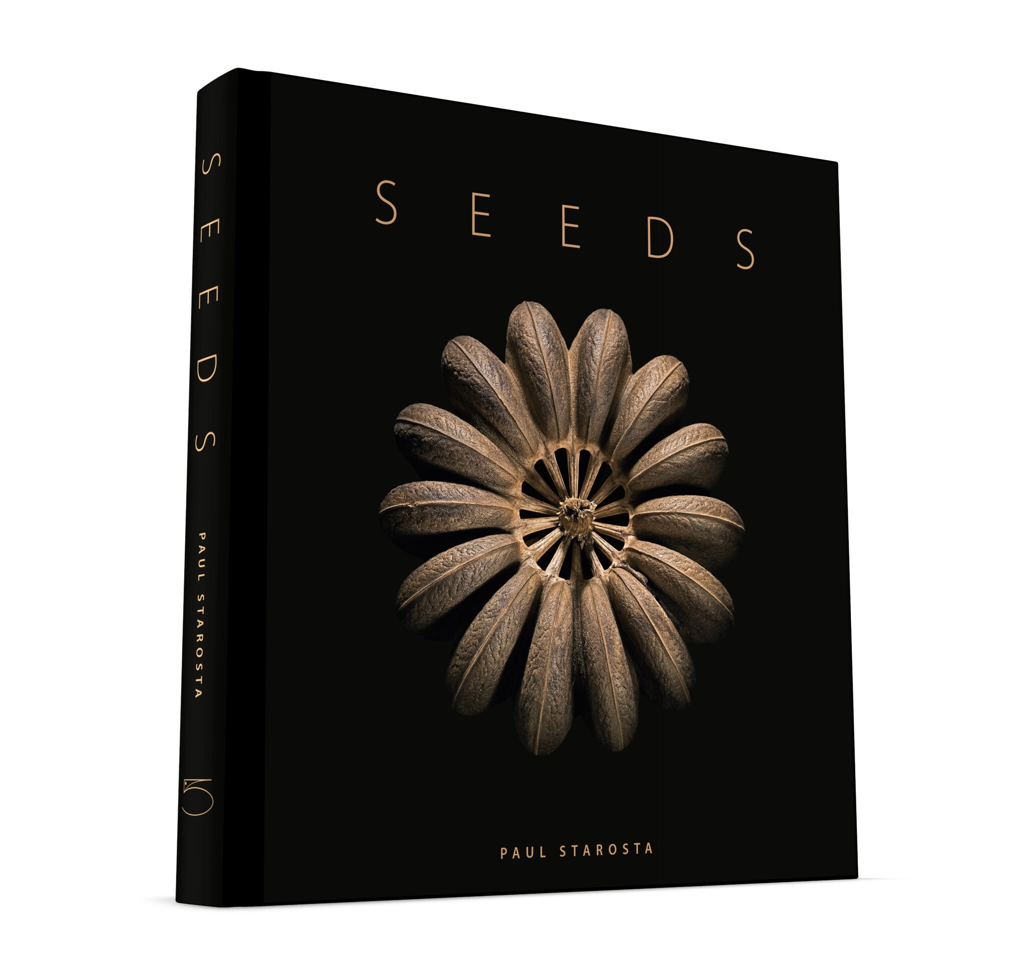 SEEDS - 5 Continents Editions