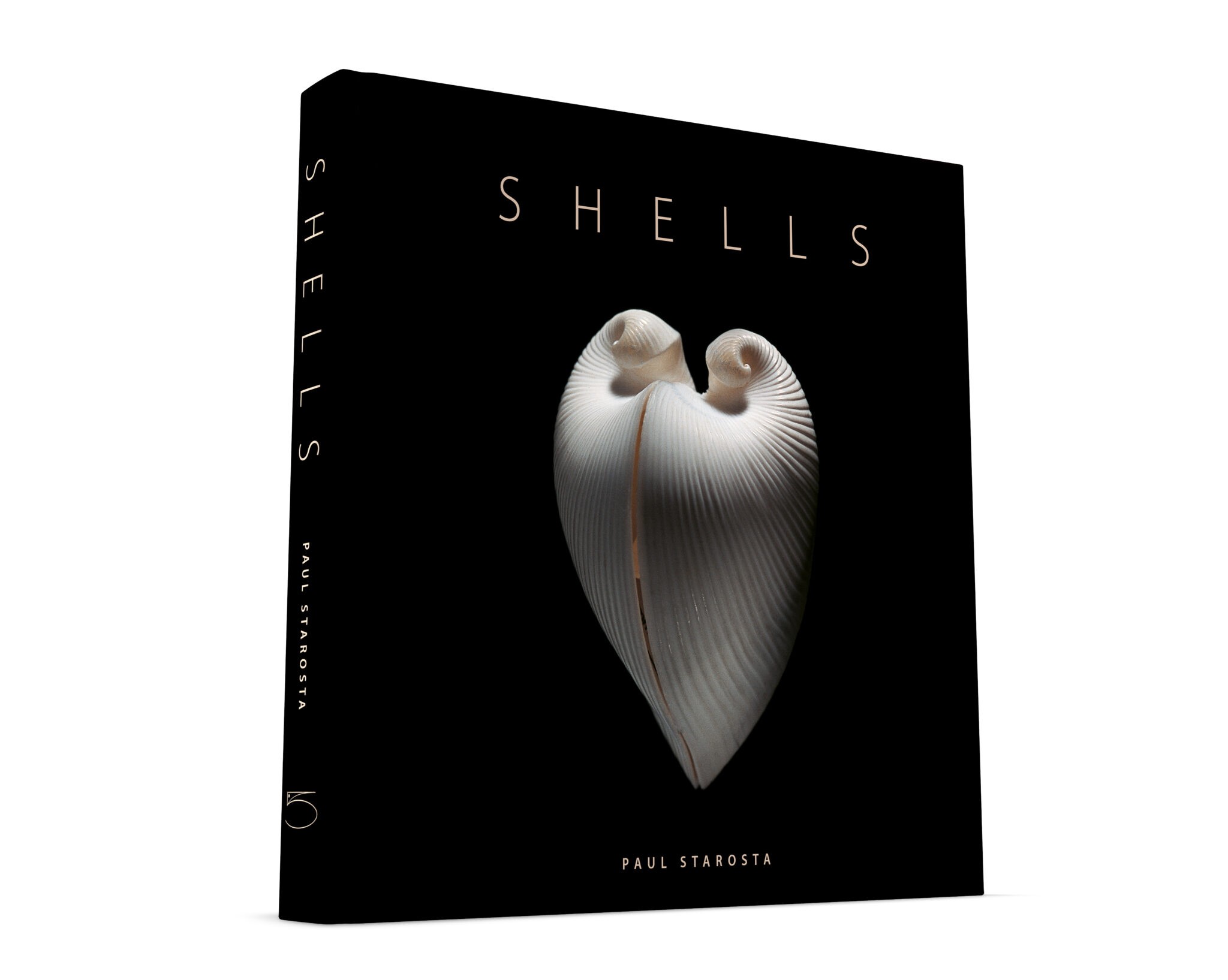 アート・デザイン・音楽 shells / Paul Starosta SHELLS - 5 Continents Editions