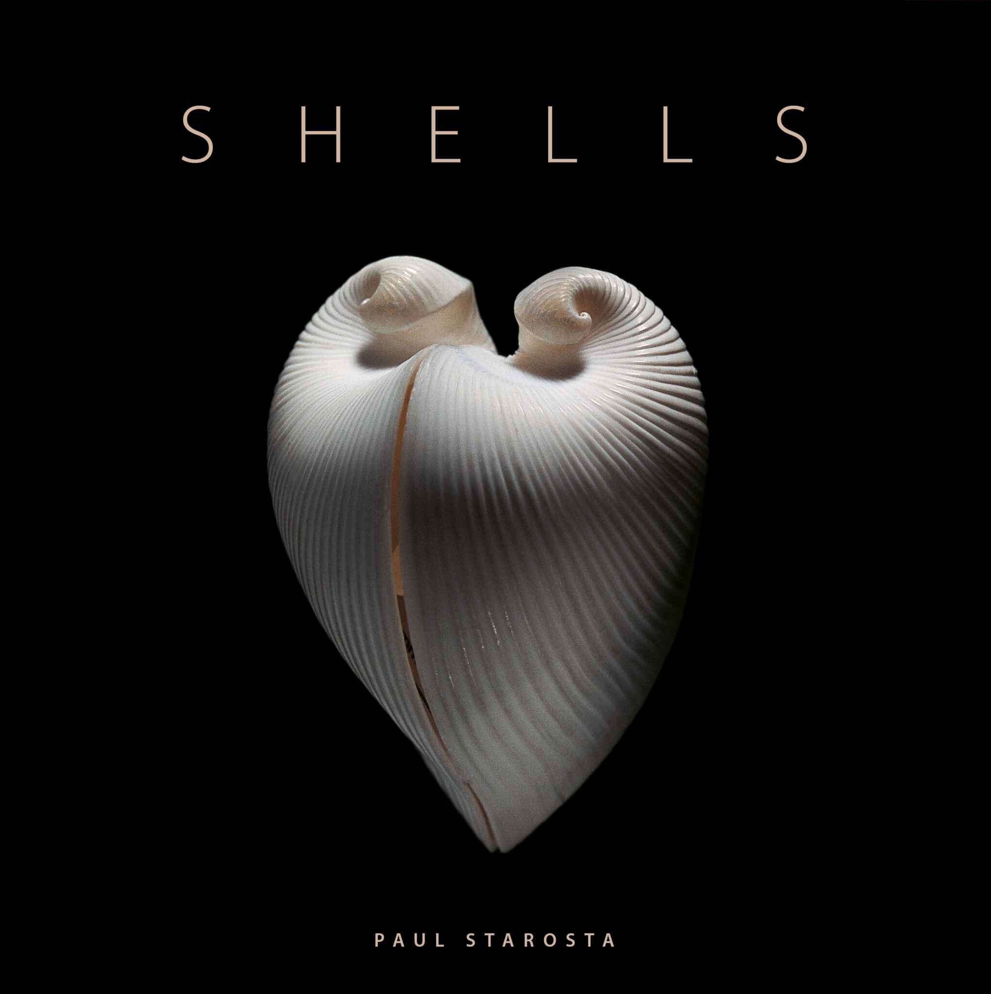 SHELLS - 5 Continents Editions