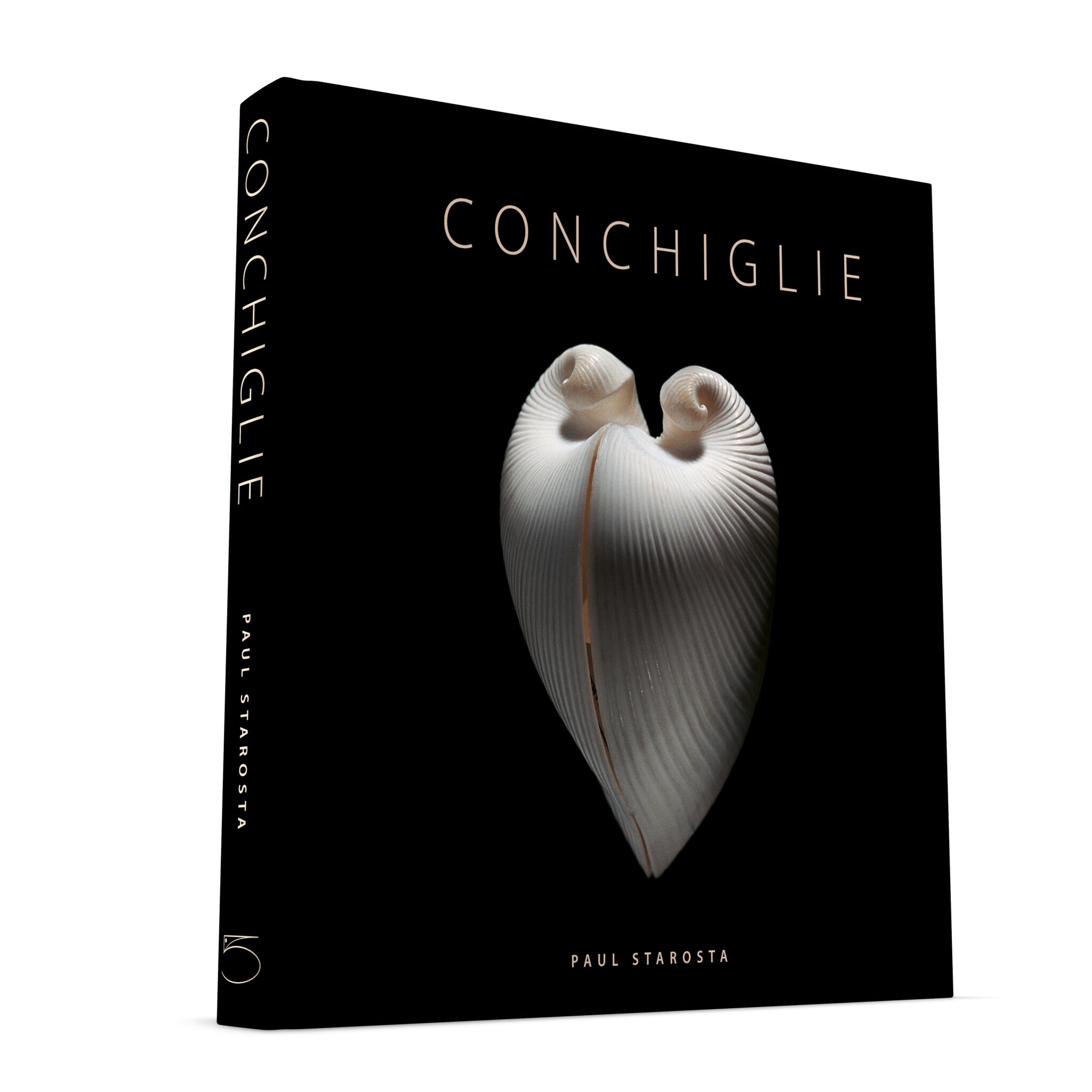 CONCHIGLIE - 5 Continents Editions