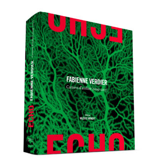 ÉCHO Fabienne Verdier Carnets d'atelier (2011-2017)